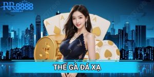Thế Gà Đá Xạ: Kỹ Thuật Cược Gà Đá Xạ Tại Nhà Cái rr8888.art