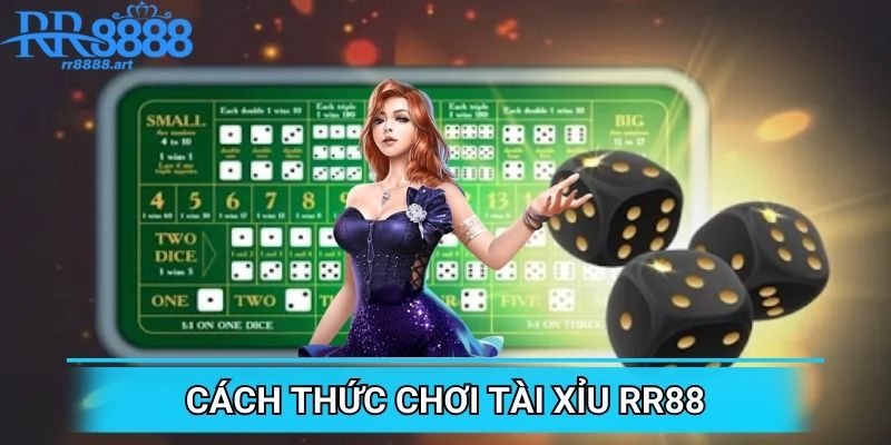 Quy trình chơi Tài Xỉu hoàn hảo không phải ai cũng biết