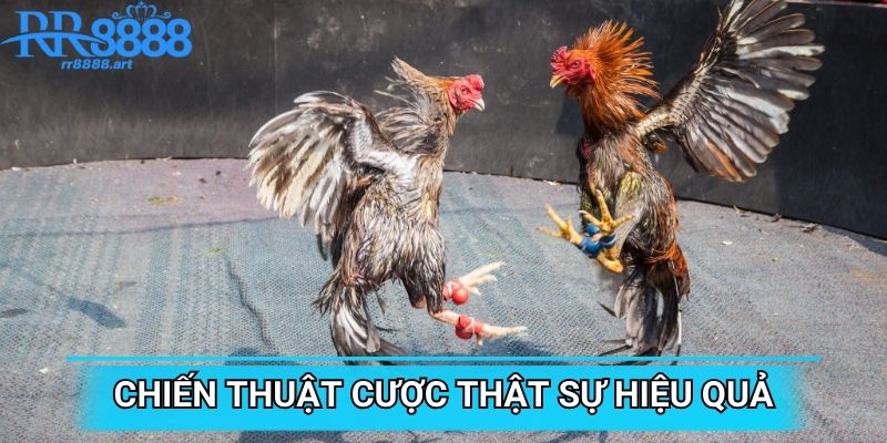 Chiến thuật đánh cược thật sự hiệu quả