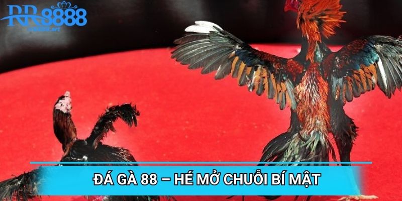 Đá Gà 88 – Hé Mở Chuỗi Bí Mật Chấn Động Năm 2025
