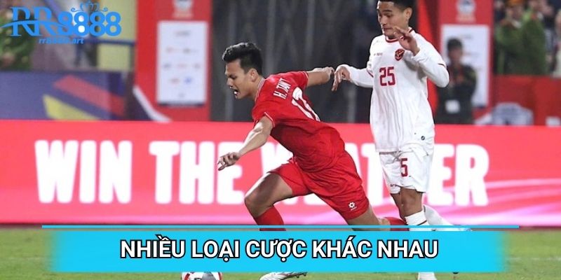 Nhiều loại cược khác nhau