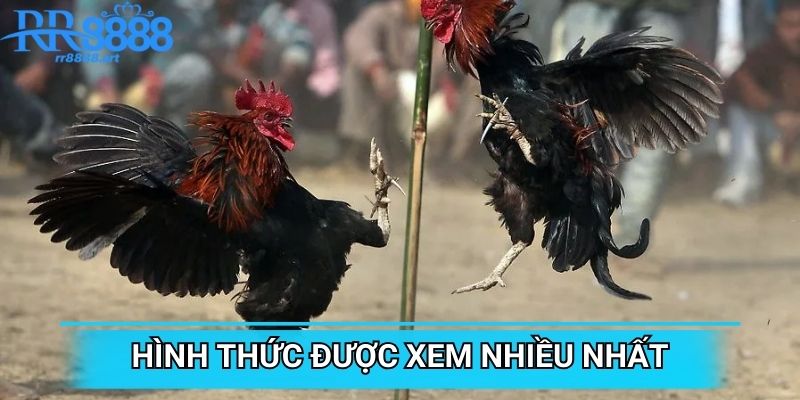 Hình thức được xem nhiều nhất