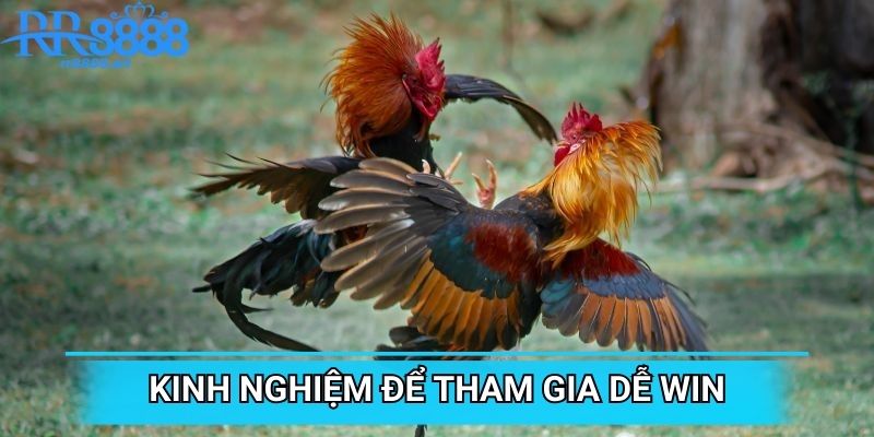 Kinh nghiệm để tham gia dễ win
