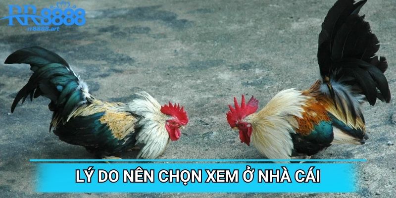 Lý do nên chọn xem ở nhà cái