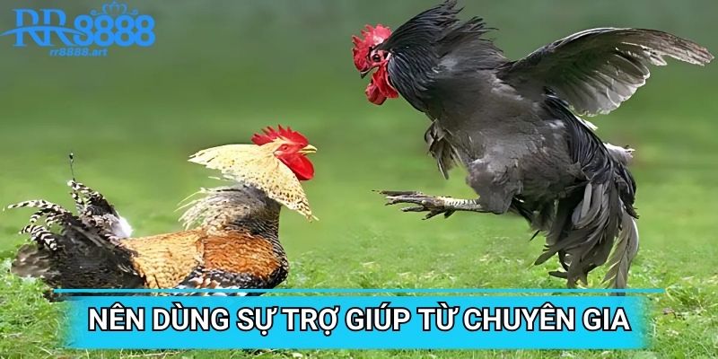 Nên dùng sự trợ giúp từ chuyên gia