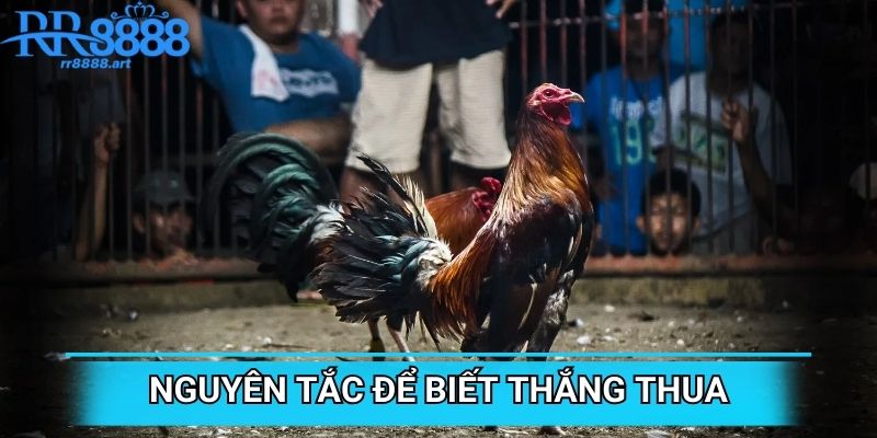 Nguyên tắc để biết thắng thua