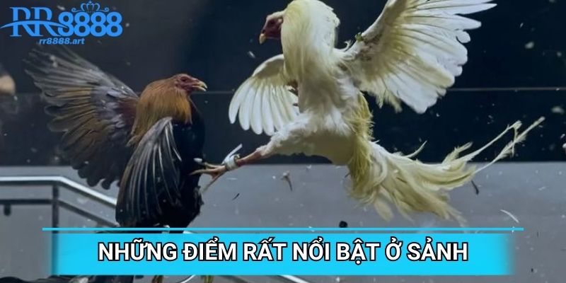Những điểm rất nổi bật ở sảnh