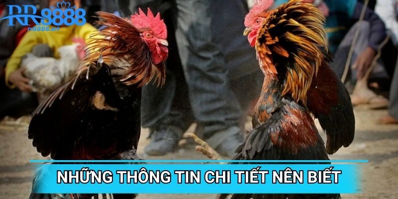 Những thông tin đầy đủ cần phải biết