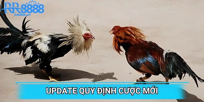 Update quy định cược mới
