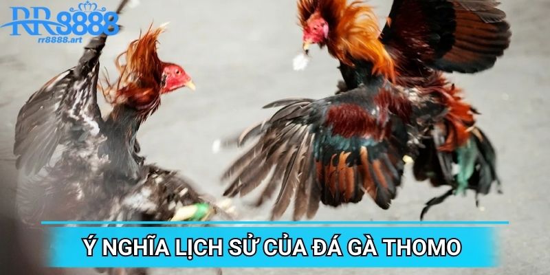 Ý nghĩa lịch sử của đá gà Thomo